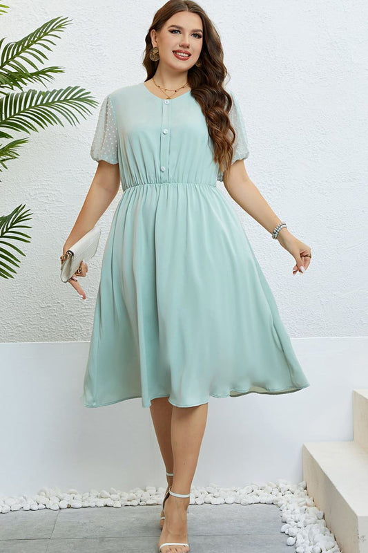 Swiss Dot Mesh Sleeve Buttoned Dress